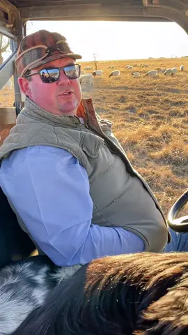 How we got into #dorpersheep! #RanchTok #AgTok #KeepRanchin #KingOfTikTok #Agriculture #SheepTok #RanchLife