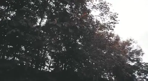 Listen up yo #fypシ #cargirl #honda #triton #sabah