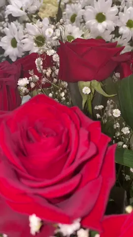 #спасибо #за все#Аллах 🥰🥰🥰🥰☝🏻🕋