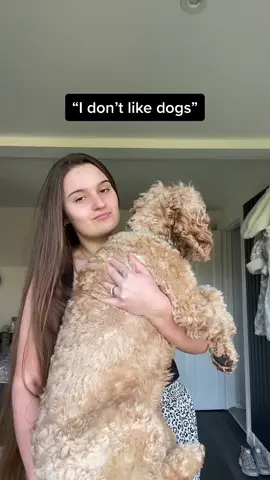 #fyp #foryoupage #foryou #pov #dogs #cockapoo