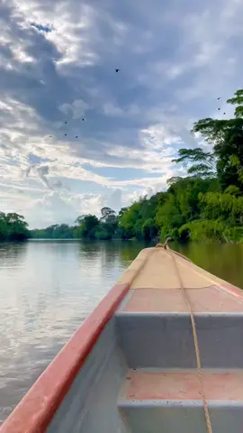 #nature #rio #fypppppppppp #putumayo #naturaleza #viajes #lancha