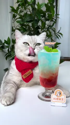 Has anyone ever eaten seedless strawberries?#catsoftiktok #catlover #foodtiktok #kittygod_cn #cookingcat