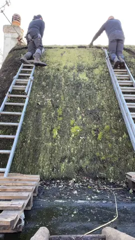 Another day another roof to be cleaned 🧹 #thethatchingguy #clean #thatch #fyp #fypシ #foryou