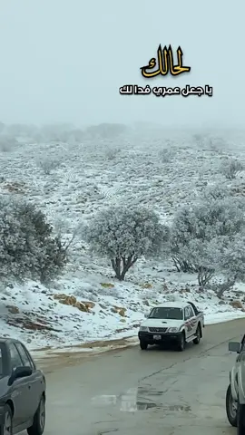 لحالك يا جعل عمري فدا لك ❄️⛄️.                          #فيصل_عبدالكريم #لحالك_ياجعل_عمري_فدالك #ثلج #الهيشه_الشوبك_معان_وادي_موسى_البترا #foryou