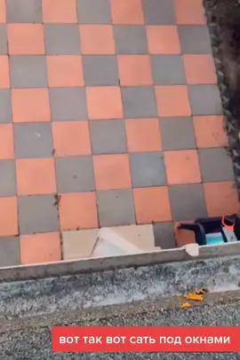 #хочуврекомендации #рекомендации #family_is_tlt #рек