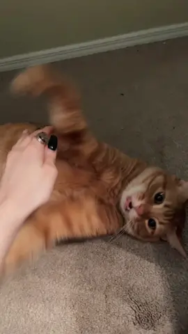 but he’s so cutieeeee