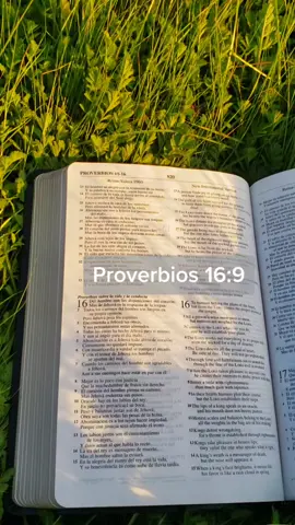 Are you letting God guide your steps? 🤔🤍  #dailybiblereading #practicingespanol #practicingspanish #meditateongodsword #letgodguideyou