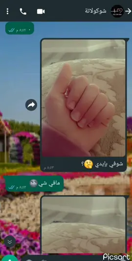 #نحلة🐝عسل🍯 #ترند_جديد🤣  #canada🇨🇦 #اكسبلوووور @amanirashido