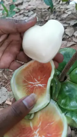 #ลูกอะไร #ไครรู้เม้น #ชุ่มคอ