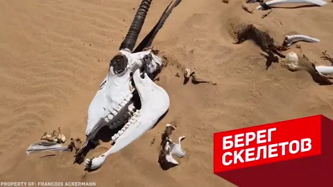#самыеопасныеместанапланете #островскелетов