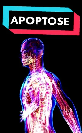 a células podem morrer de forma programada por um processo chamado apoptose.   #ciência #biologia #curiosidades #mundocientifico#educação #bio#celula