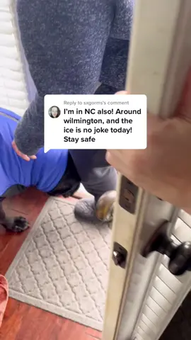 Reply to @sxgorms NORTH CAROLINA ICE STORM UPDATE 🧊❄️#RufflesOwnYourRidges #nc #northcarolina #ice #update