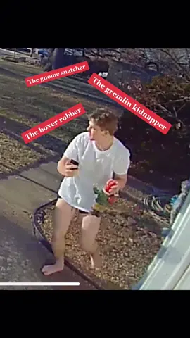 #greenscreen #greenscreenvideo #ring #ringdoorbell #greenscreen #gnome #funny #fyp