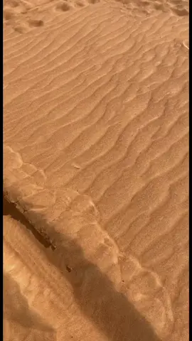 #البداير  #الرملة #الشارقة #الصحراء #أجمل_شتاء_في_العالم #من_غير_هاشتاق #fyp #اكسبلور #الشعب_الصيني_ماله_حل #الامارات #غيوم #برد #حنين #بنات #ميحد_حمد