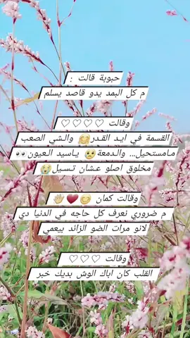 الرد على @user54588003824630 #عاشقه_الجنه #تيم_الاخوات #تعليقاتكم #اكسبلور #fyp #مشاهير_تيك_توك #السودان #fyp #حبوبه_قالت؟ @refag5