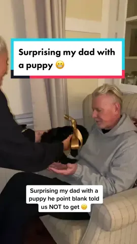 Surprising my dad with a puppy… 🙃 #surprisepuppy #puppy #dad #airportalastair @airport_al