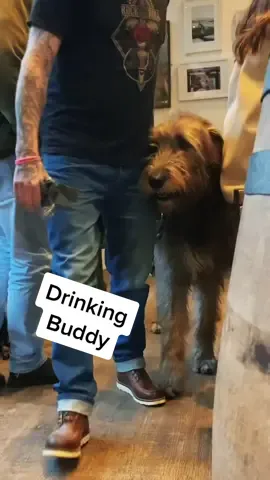 #magicrockholmfirth #holmfirth #irishwolfhound #drinkingbuddy #ringmaster #bigdog #beers