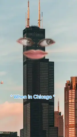 But does your city have a #Picasso  sculpture like #Chicago ?! #skydeckchicago #willistower #thingstodoinchicago  #discoverchicago