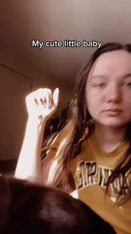 #blackcat #cat #catsoftiktok #RufflesOwnYourRidges #blackcatsoftiktok #blackcatsoftiktok #kitty #catlover