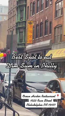 You want sum of my dim sum #dimsum #chinatown #philly #lunarnewyear #fyp