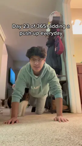 How much longer can I go?? #RufflesOwnYourRidges #disneyplusvoices #pushup #pushups #pushupchallenge #workout