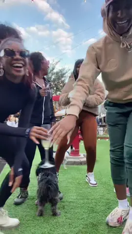 @phattynicole444 was not having it with me lol #bloopers #adulttiktoktok #sundayfunday #lick #sideoftown