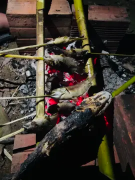 Nướng cá đêm... chill #ancungtiktok #nuongca #cauca #an #xuhuong #thugian