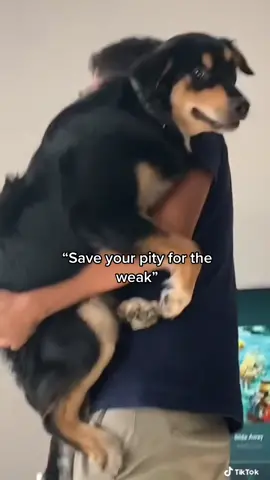 Save your pity for the weak