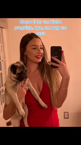 20% do tempo acordado e os outros 80% dormindo #pug #cachorro #puglife #pugs #cachorrofofo