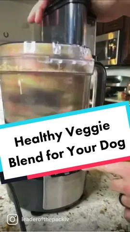 Easy way to add #nutrition for your #dogs #veggies #healthydogs #dogtok #rawfeddog #rawfeddogs #rawfeeding #dogtip #dogfood #dogfoodtiktok #vegas