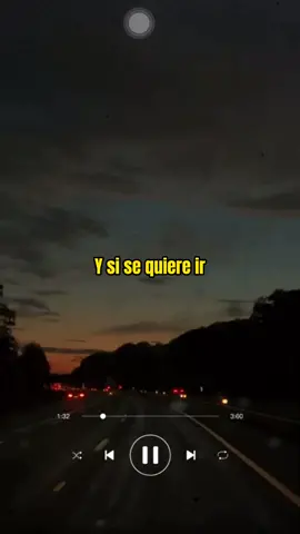 Y SI SE QUIERE IR – Luis Angel 🌟 #parati #lirycs #videoparaestado #videolirycs #romantico #videoparaestado #fypシ #music #parati