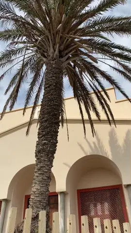 Santa Cruz 💙 #wahren #oran #dz #31 #algerie #algeria #dzpower #pourtoi #pourtoi #foryou #Wahren #pourtoii #wahran