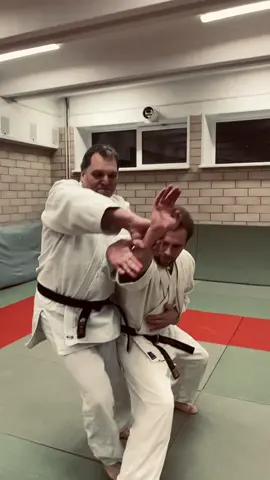 Some morote dori action 🥋💪🏻 #vanzep #tenshin #aikijitsu #aikido #айкидо #тэншин #айкиджитсу