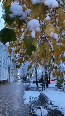 #мысливслух✨ #терпение #мыслиожизни #одиночество💔 #всебудетхорошо