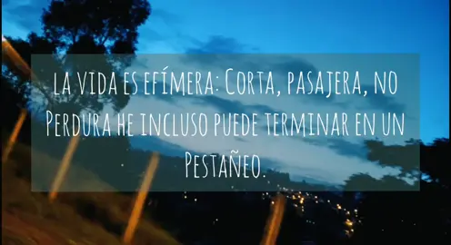 Una parte del nuevo prólogo de Boulevard. #parati#boulevardelossueñosrotos🌈#flormsalvador  #tristeza #libros#viral#fyp