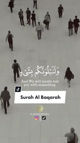 Surah Al Baqarah 155-157 #islam #muslim #islamtiktok #muslimfyp #islamicreminders #muslimtiktok #quran