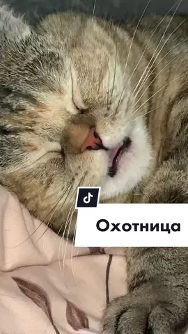 Кажется, во сне кого то поймала и съела 🤔