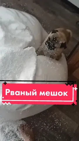 Два часа увлекательной уборки и всё стало опять чисто. (Убирала жена, по флешке кино интересное показывали, я не мог пропустить)