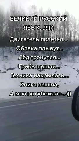 #жиза #русский #фразы #жизненно #😉