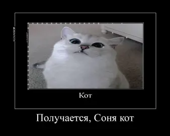 #разоблачениеимени #Соня