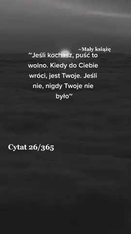 26/365 #dc #dlaciebie #fypシ #fyp #cytat #cytaty #małyksiąże