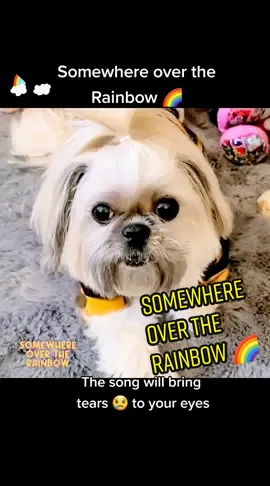 This song brought Tears 😢 to my eyes #somewhereovertherainbow🌈 Credits to @ninasonline