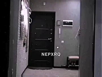 ---идᴇя: не ʍᴏя♡ //можно в рек😫// #nepeta #nepxrq #nepeta #fyp #вреки #врек #рек #рекомендации #fypシ#врекомендации @ihatekarasek <3