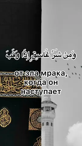 #иман#мусульмане#muslim#намаз#islam#кааба#пост#ураза#рамадан#ураза#хафиз #пророк #Мохаммад #мулла#хадис#Кааба🕋❤️