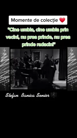 #fy #fyp #viral #tiktok #momente #amintiri #thebest #muzicaveche #stefanbanicasenior