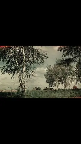 #СОВЕТСКАЯДЕРЕВНЯ#⭐⭐⭐⭐⭐⭐⭐#РОДНЫЕКРАЯ#⭐⭐⭐⭐⭐⭐⭐⭐⭐#МАЛАЯРОДИНА#⭐⭐⭐⭐⭐⭐⭐⭐#МОЛОДОСТЬ#⭐⭐⭐⭐⭐⭐⭐⭐⭐⭐#НАЗАДВСССР#⭐⭐⭐