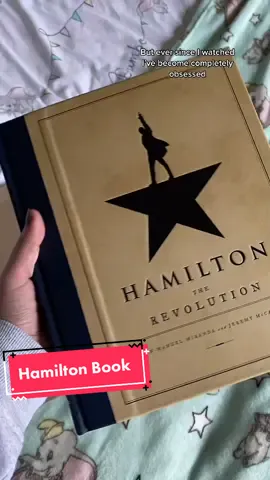 Not going to lie, in the last 6 days I’ve watched Hamilton 5 times! #hamilton #hamiltonmusical #linmanuelmiranda