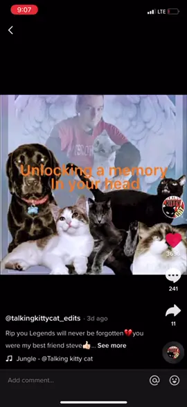 Rip 🪦 to the legends goodbye Steve cash good bye Sylvester goodbye every pet he had that died aswell 😭💔first xxx now Steve cash WHYY😭