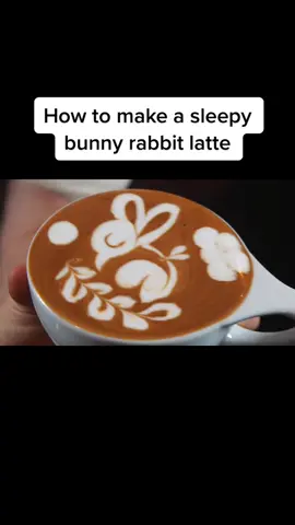 Night night Mr. bunbun #fyp #latteart #PepsiApplePieChallenge #coffee #elfitup #barista #art #latte #artist #picasso