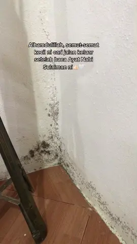 Kerabat Semut berkunjung🐜🖤 #ayatnabisulaiman #semut #selawat #tiktokguru #tiktokindonesia #doanabisulaiman #xyzbca #foryou #fypsekmungggg